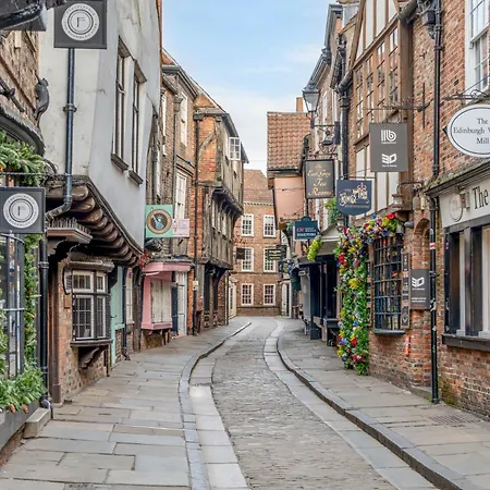 The Shambles - The Timbered Nest * York