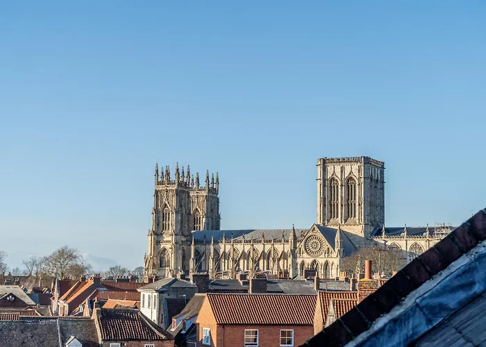 The Shambles - The Timbered Nest *